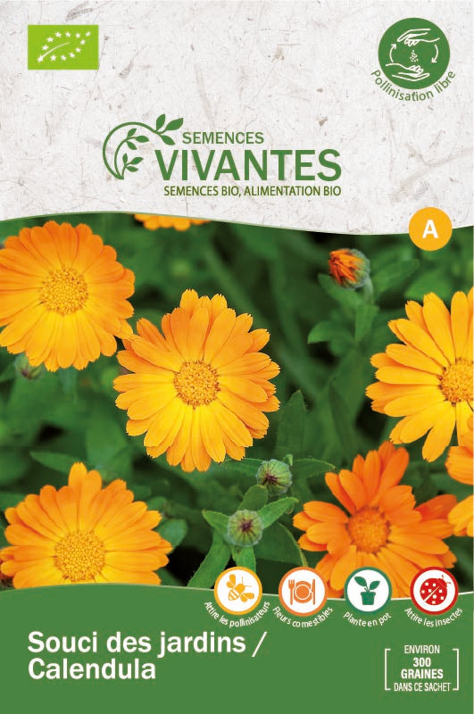 Semences Vivantes -- Souci des jardins / Calendula Bio - sachet de 300 graines